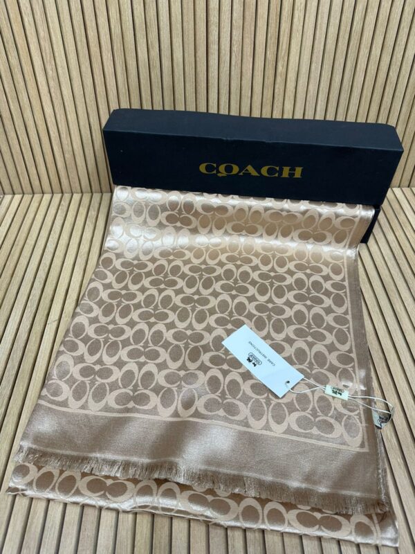 High quality Coach Scarf With Tag & Packing also